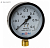 Манометр ДК100 0-0,6МПа М20*1,5 МД 02 ЭКОМЕРА