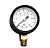 Манометр Прима 1/4, 10бар, М-01/10 подкл.осевое